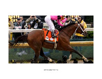 Study of Kentucky Derby 2019 Photographs on the Web